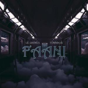 Faani (feat. Lill Ghunda & Ricky B) (Explicit)