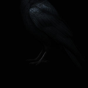 OUTTATOWN (Explicit)