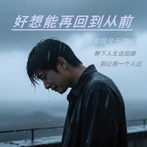 好想能再回到从前 (伴奏)