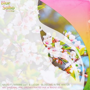 Blossoms In The Winter (Radio Edit)