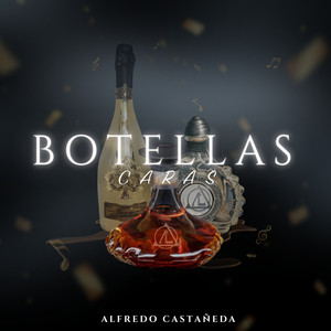 Botellas Caras