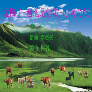 遍地是情歌 (DJ阿奇版)