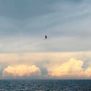 นกน้อย (noknoi) (ost. ข้างบ้าน)