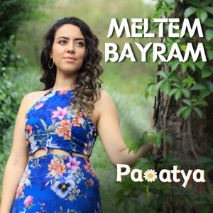 Papatya