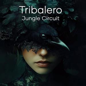 Jungle Circuit Afro House