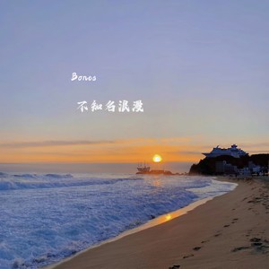 嫁给老实人 (戏腔治愈版)