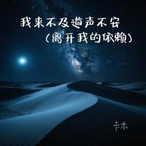 我来不及道声不安 (离开我的依赖)