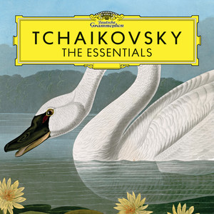 Largo - Allegro giusto