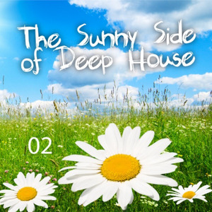 The Sunny Side of Deep House Vol 2