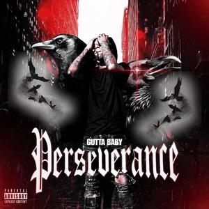 Perseverance