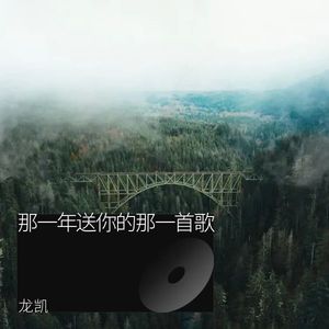 那一年送你的那一首歌 (伴奏)