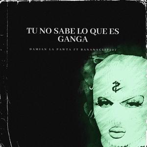 Tu No Save Lo Que Ganga (feat. BananaClip227) [Explicit]
