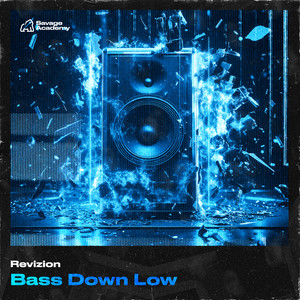 Bass Down Low