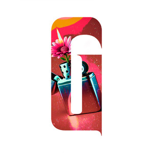 Don't Want Flowers (Radio-Edit)