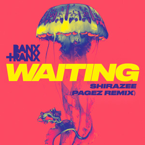 Waiting (PAGEZ Remix)