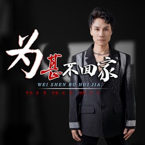 为甚不回家 (男版伴奏)