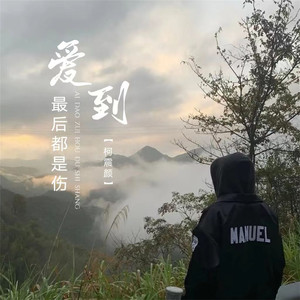 爱到最后都是伤