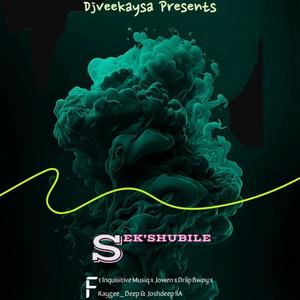 Sek'shubile (feat. Inquisitive Musiq, Jowen, Driip Bwoy, Kaygee_Deep & Joshdeep SA)