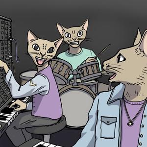 Cat Orchestra Debacle