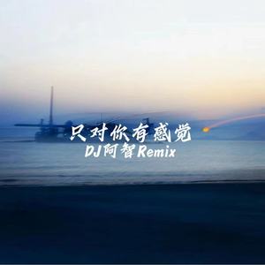 只对你有感觉 (DJ阿智Remix)
