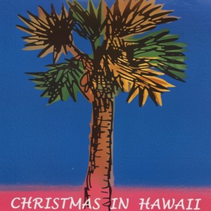 Christmas In Hawaii