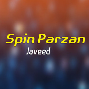 Spin Parzan