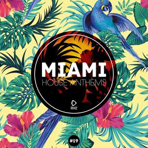 Miami House Anthems, Vol. 19