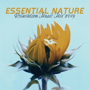 Essential Nature Relaxation Music Mix 2019