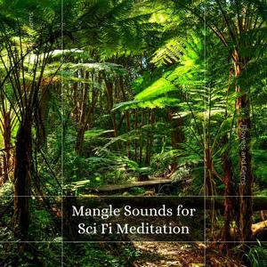Apprehensive Meditation (Original Mix)