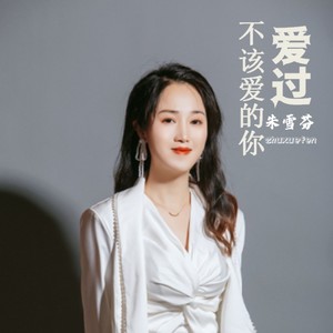 爱过不该爱的你 (伴奏)