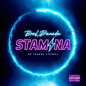 Stamina (Explicit)