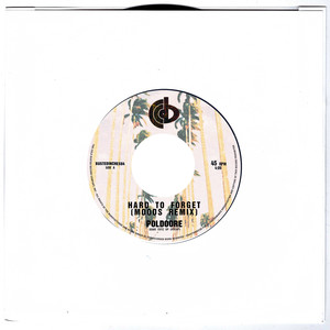 Hard To Forget (Moods Remix)