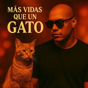 Más vidas que un gato
