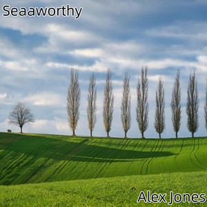 Seaaworthy