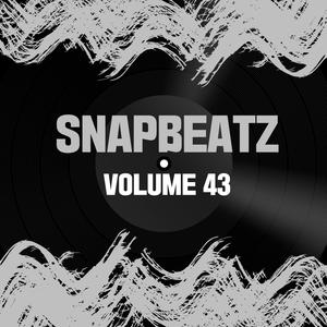 Snap Beatz Vol.43