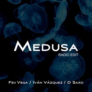 Medusa[feat. D Saxo] (Radio Edit)