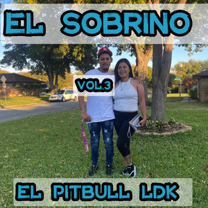 El Sobrino Vol.3 (Explicit)