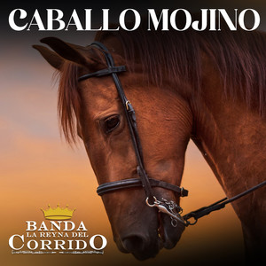 Caballo Mojino