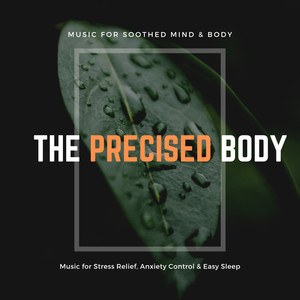 The Precised Body (Music For Soothed Mind & Body, Music For Stress Relief, Anxiety Control & Easy Sleep)