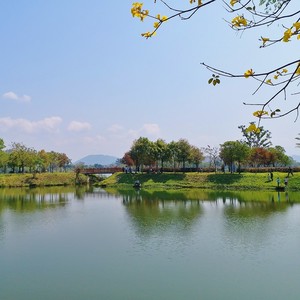 增城人家 (粤语版)