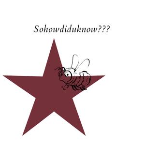 Sohowdiduknow??? (Explicit)