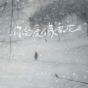 你的爱像雪花 (伴奏)