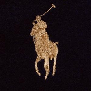 POLO KING$ (feat. RIPFUNDS & YUNG HEADCASE) (Explicit)