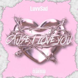 Cause I Love You (Explicit)