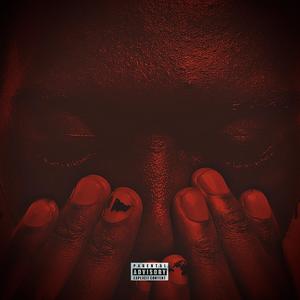 Strays (out the gate) (feat. LT6oy) (Explicit)
