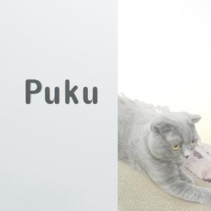 Puku (feat. Kagamine Rin)