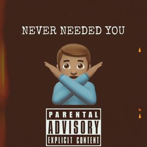 Never Needed You (Explicit)