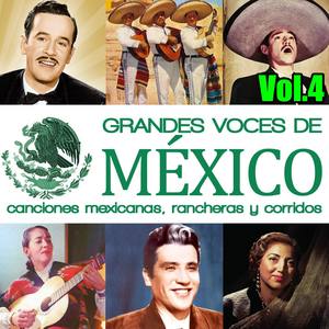 Songs of Mexico, Typische Mexikanische Musik