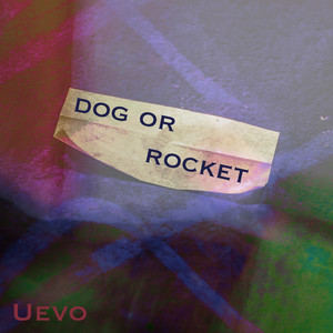 Dog or Rocket