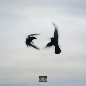 NOT LIKE THE REST (Explicit)